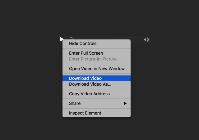 download-video-as