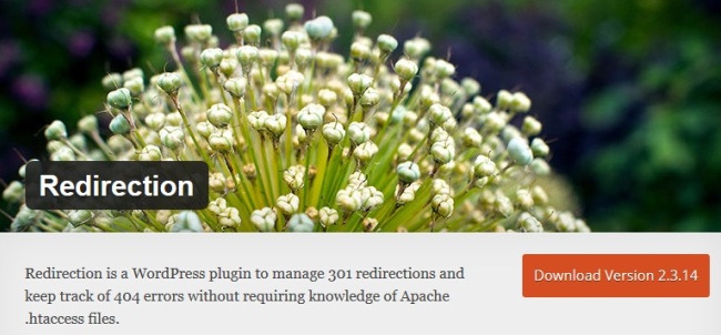 Redirection-WordPress-plugin