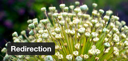 redirection