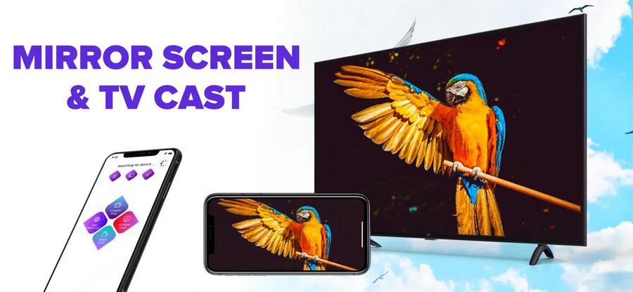 Screen mirroring - share cast